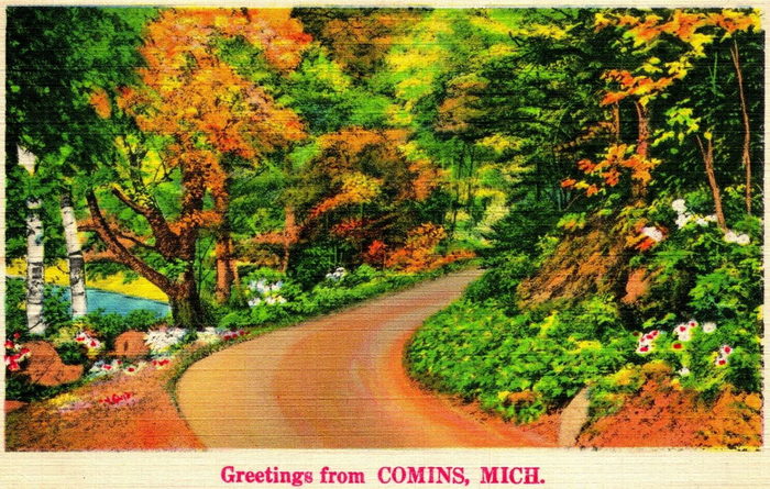 Comins - Old Post Card Photo